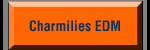 Link to Charmilies EDM Equipment Manufacturer